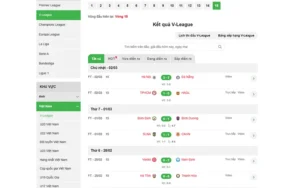 Kết Quả Bóng Đá Việt Nam Hôm Nay